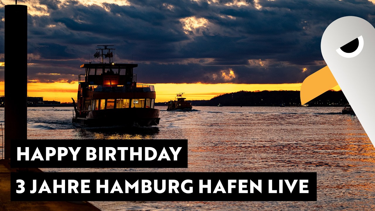 🎈3 Jahre Hamburg Hafen Live 🥳 Happy Birthday to us 🚢 400m Gigant ONE TRUST