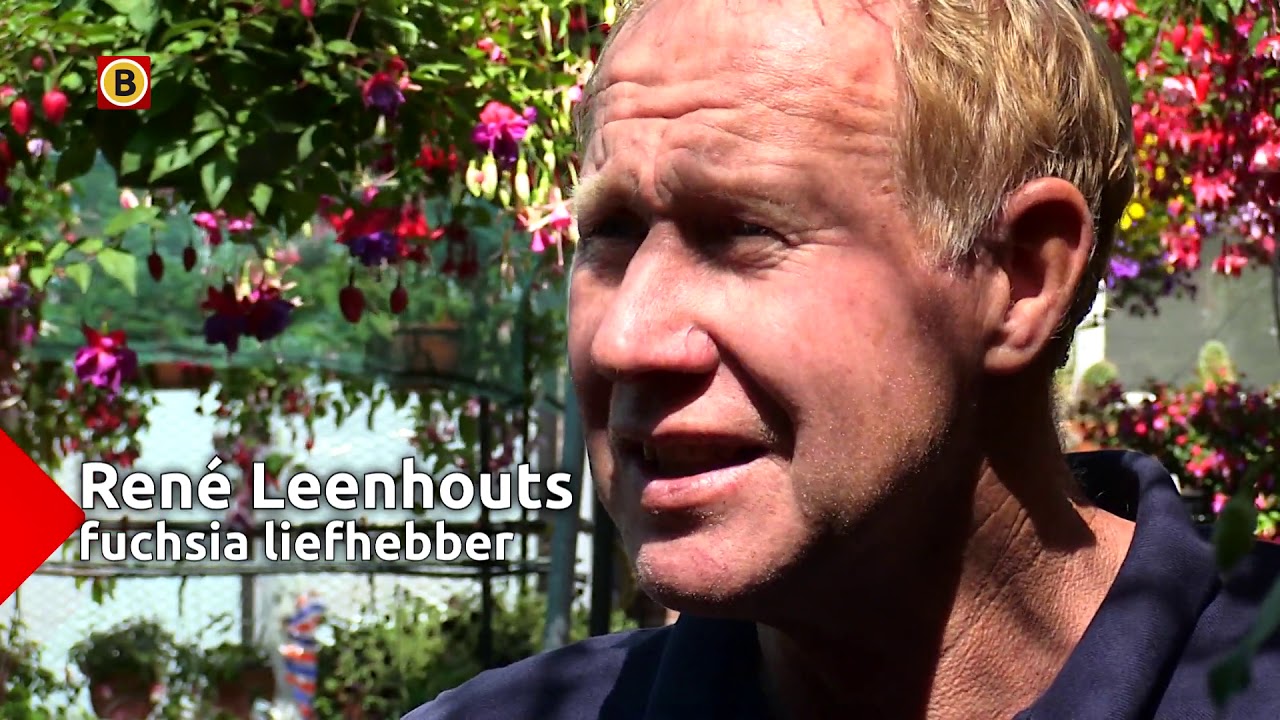 Fuchsia liefhebber René kan en wil niet op vakantie door en voor zijn fuchsia’s