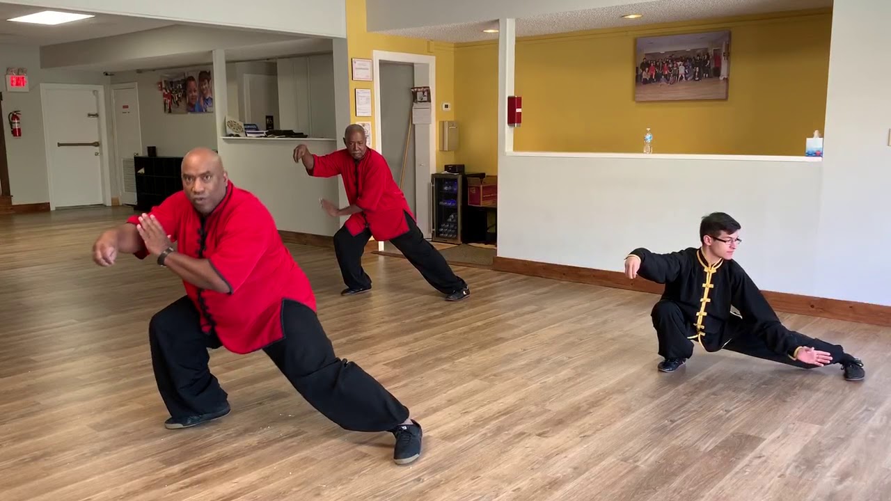 Dao Concepts Tai Chi - Snake Creeps Down