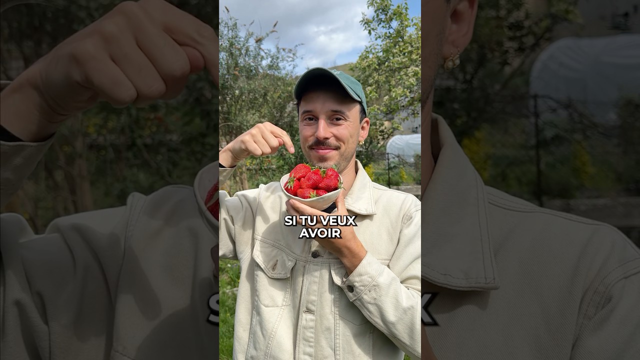 Récolter des fraises À L’INFINI 🍓
