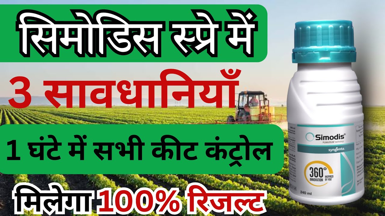 Simodis Syngenta | सिमोडिस स्प्रे में तीन सावधानियाँ मिलेगा 100% रिजल्ट by PC Verma