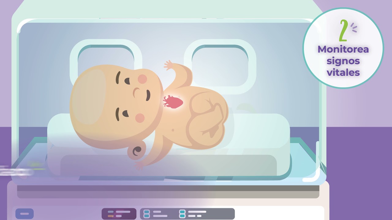 La incubadora para bebés ¿Qué beneficios tiene?  | San Pablo Bebés