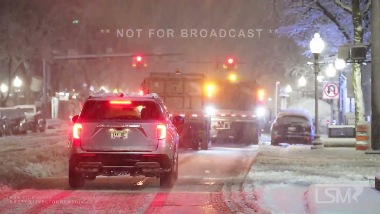03-03-2023 Detroit, MI - Major Winter Storm - Thundersnow - Power Flashes - Tree Damage - Heavy Snow