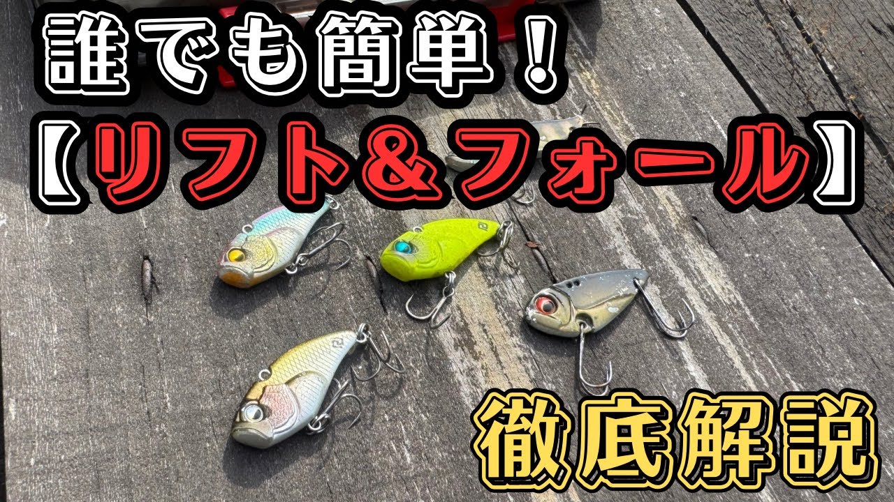 【バス釣り】メタルの基本！リフト＆フォールのコツを実釣しながら詳しく解説します。初心者でも釣れるアクション使い方とは【メタルバイブ】【バイブレーション】【釣りの基本】