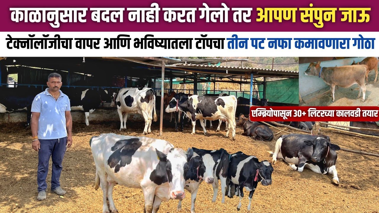 टेक्नॉलॉजीचा वापर करून बनवतायत भविष्यातला टॉपचा गोठा | Hf and Jersey cow dairy farm