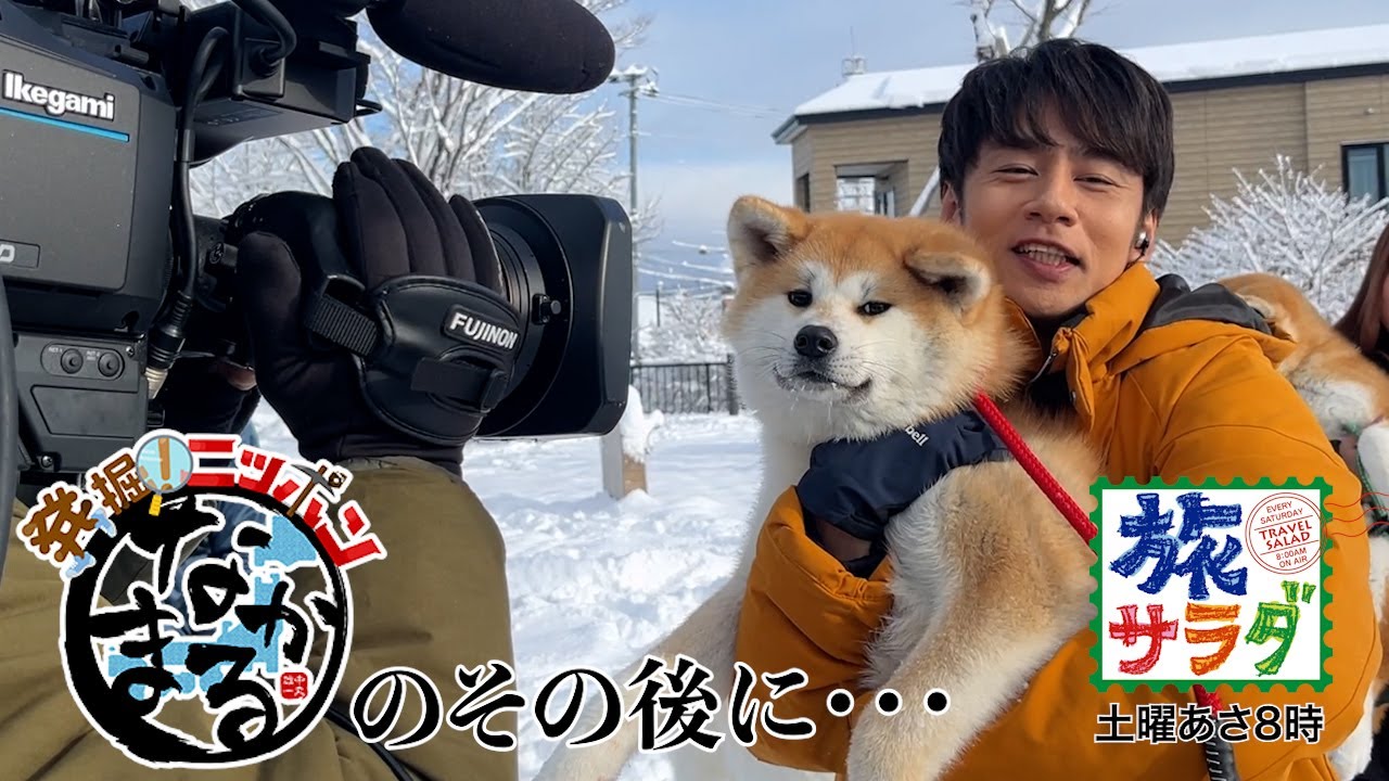 【発掘！ニッポン　なかまる印】のその後に・・・＃４１