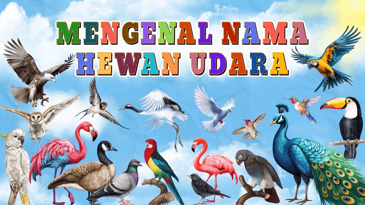 Mengenal Nama-Nama Hewan Udara | Nama Hewan Udara Dalam Bahasa Inggris