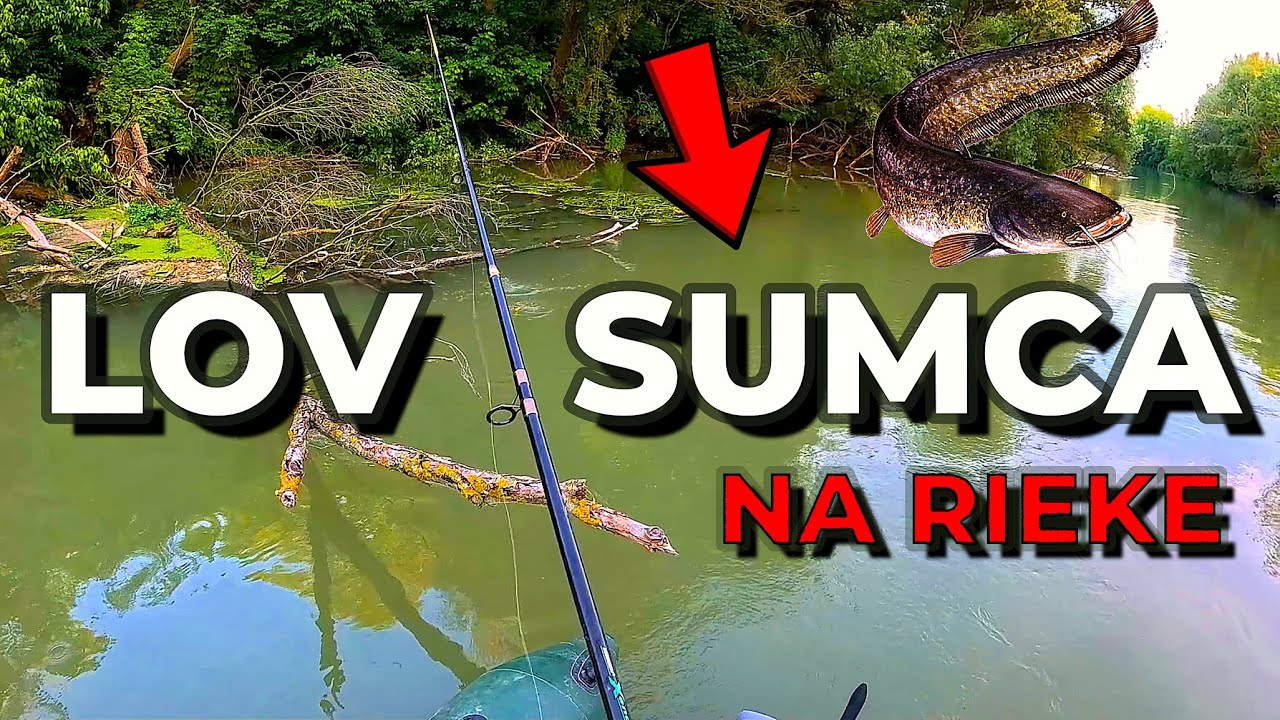 Lov Sumca na Živú Rybku 🐋🎣 na rieke Váh a Malý Dunaj 🚣 + na Pijavice (nadáje) a Dážďovky !