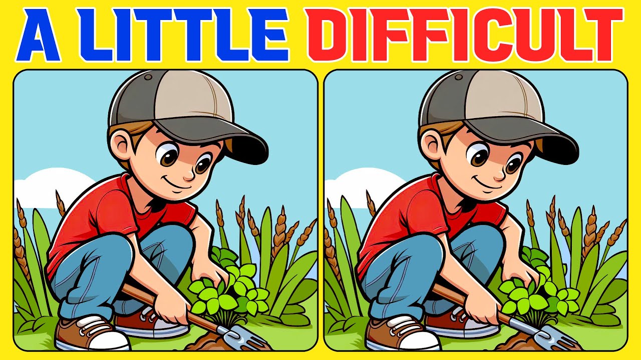 🧠🧩Spot the Difference |  A Gentle Brain Teaser 《A Little Difficult》