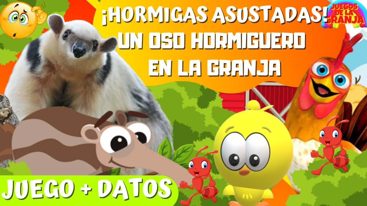 LA GRANJA DE ZENON.UN OSO HORMIGUERO