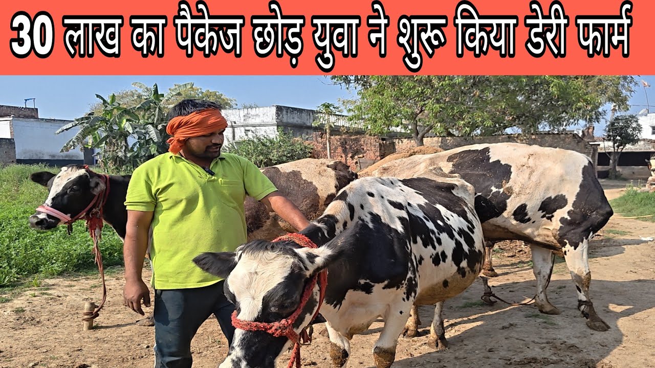 प्राइवेट नौकरी छोड़ युवा ने शुरू किया डेरी फार्म 