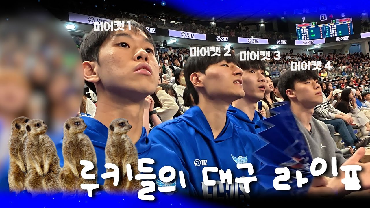[#옾더코트] 한국가스공사를 다니고 나의 댄스타임 시작됐다🕺 | 루키즈데이 비하인드 📹