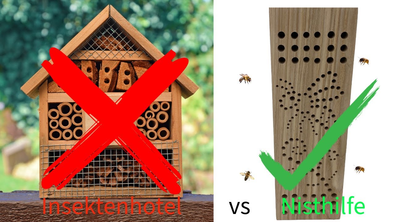 Insektenhotels - das wahre Grauen! Ich zeige euch wie es richtig geht!