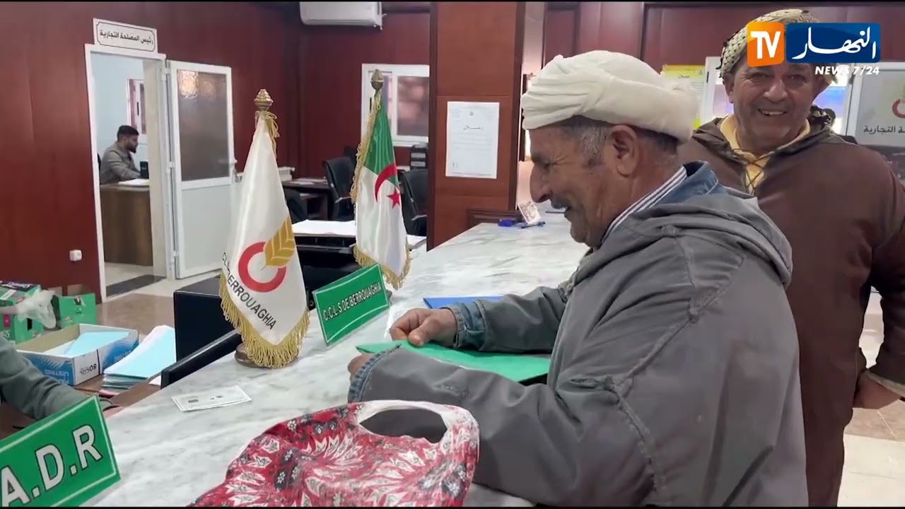 المدية : تكثيف بذور القمح الصلب..رهان لتحقيق الأمن الغذائي