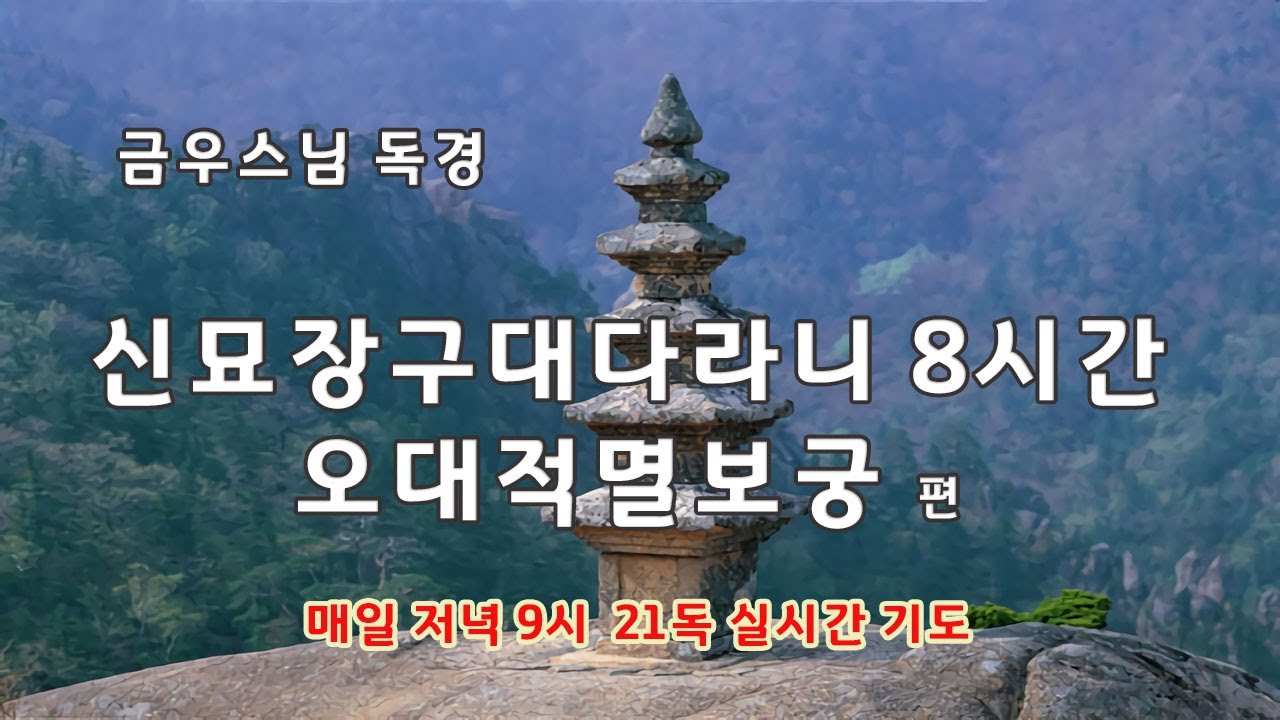 금우스님 신묘장구대다라니 8시간 / 빠른독경/오대적멸보궁 삼대관음도량 배경