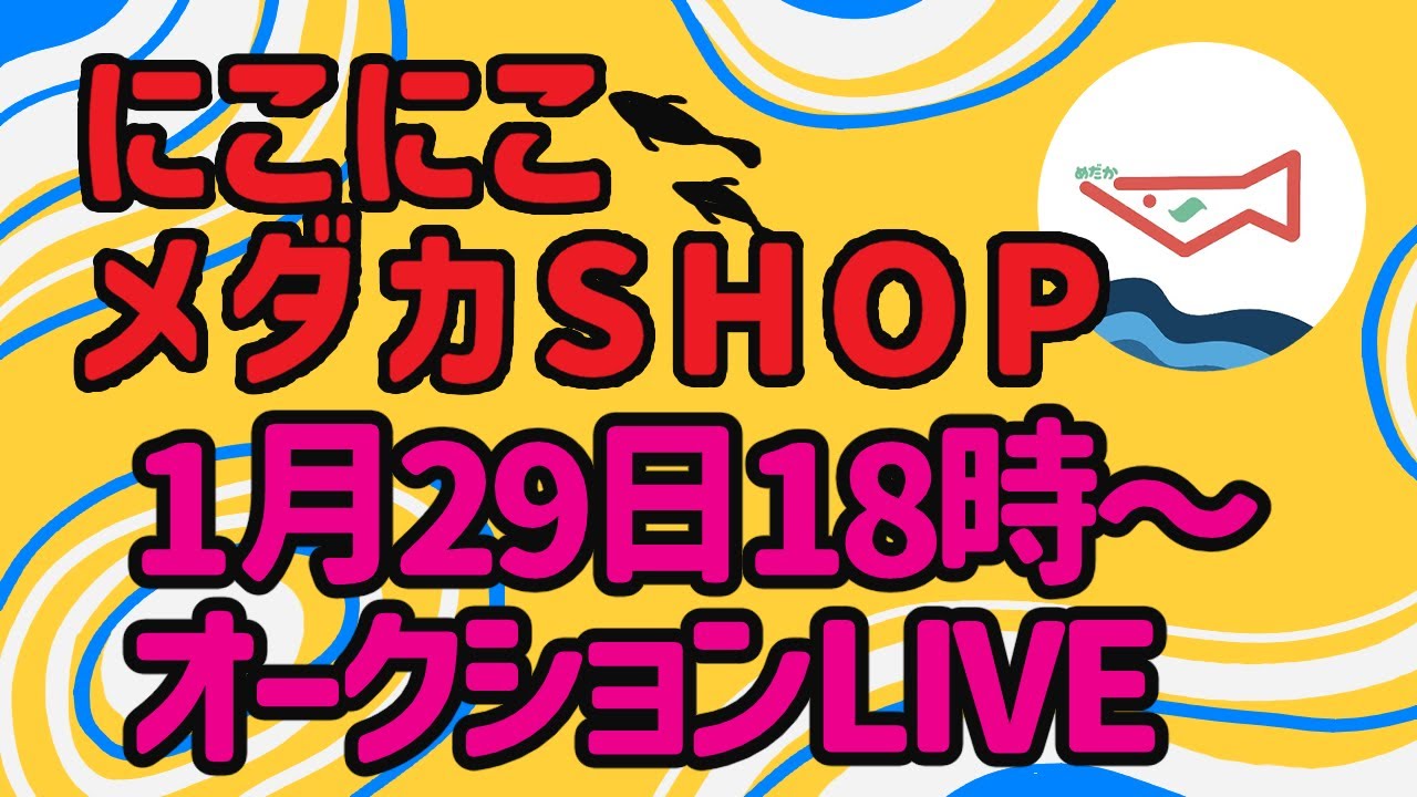 2026年　第4回　にこにこメダカSHOPオークションLIVE  後編