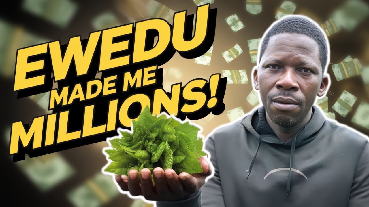 How Ewedu Farming Made Me A Millionaire
