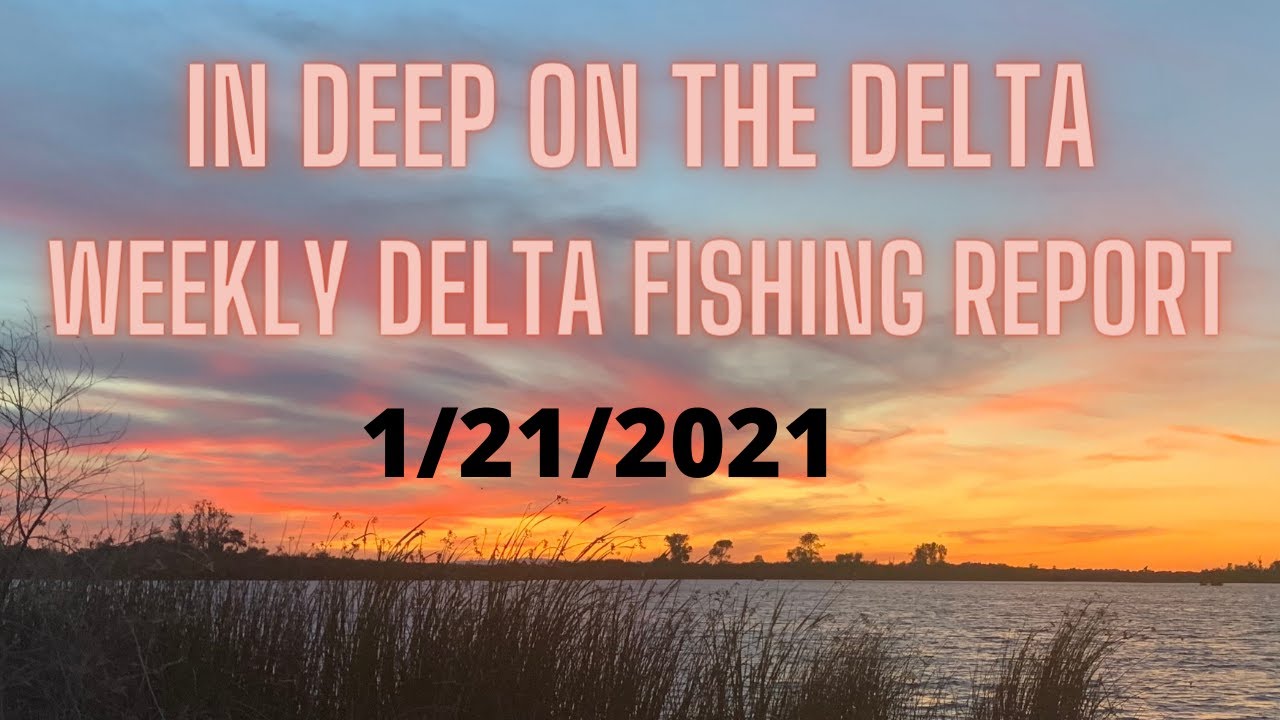In Deep on the Delta weekly fishing report for 1/21/2021