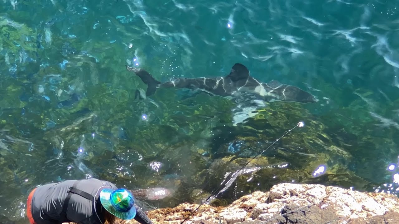 Big Fish After Big Friggen Fish (Compilation Part 1)