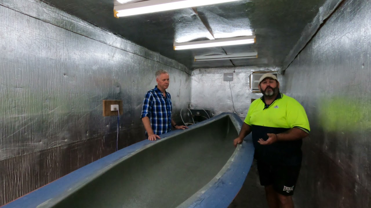 One Tree Canoe Factory Tour Sep 2021   HD 1080p