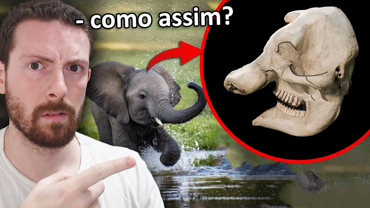 &Eacute; IMPOSS&Iacute;VEL saber o animal pelo cr&acirc;nio...