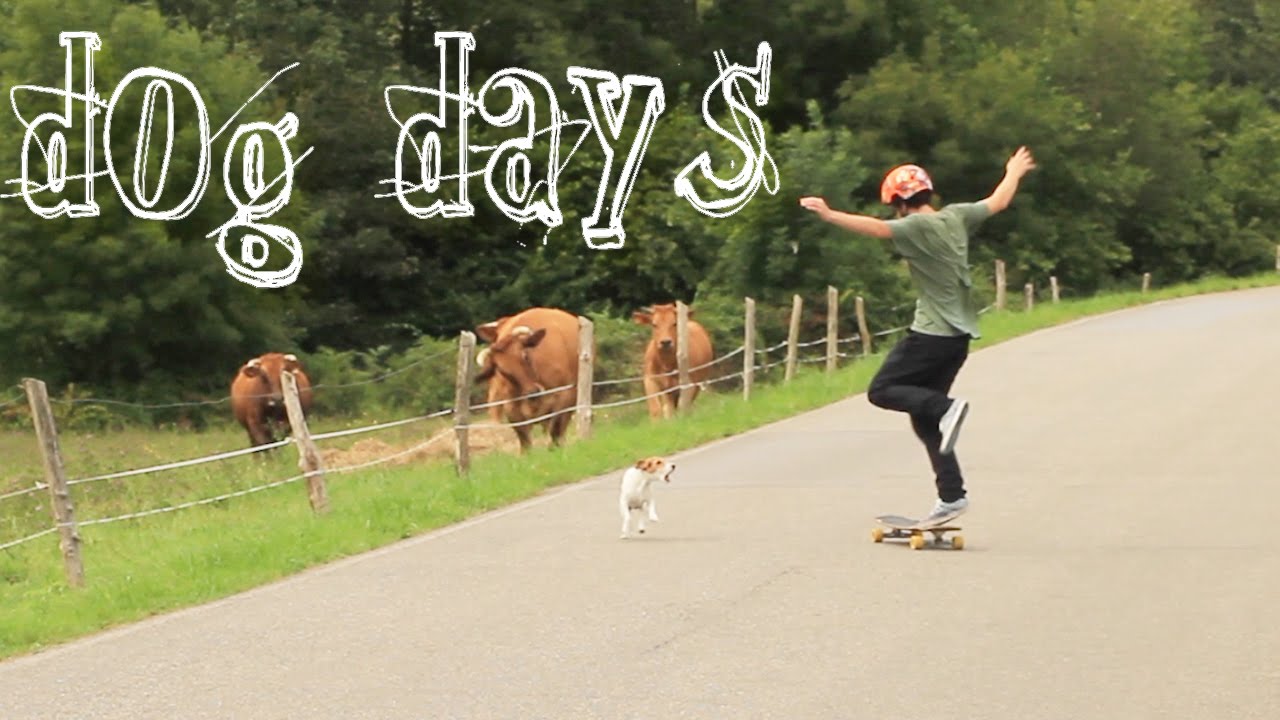 Loaded Boards | Dog Days
