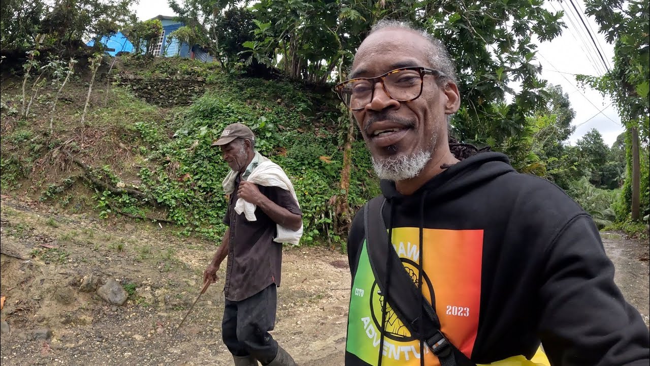 Tips to Growing Dasheen: Insights from a Jamaican Farmer