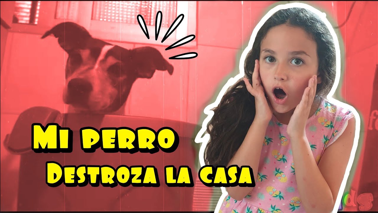 MI PERRO DESTROZA LA CASA Y SE MANCHA TODO!! espero que papa no lo vea