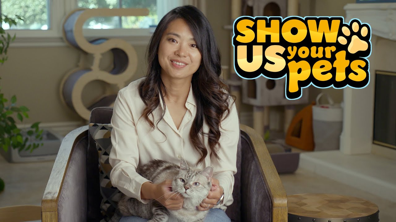The Most Famous Instagram Cat | Show Us Your Pets