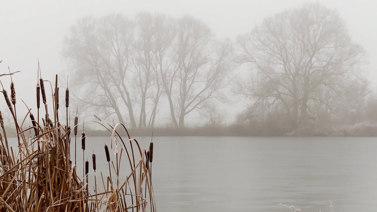 Karpfenland Aischgrund - Teil6: Der Winter im Karpfenjahr