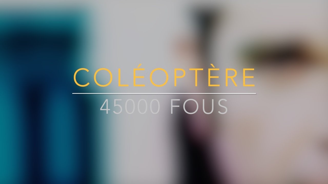Col&eacute;opt&egrave;re - 45000 Fous