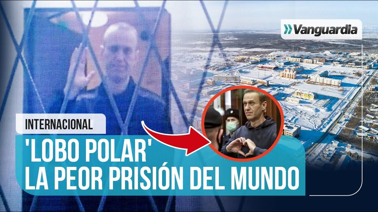 🇷🇺😨 ¿VENENO? LA VERDAD SOBRE LA MUERTE DE ALEXÉI NAVALNY, LÍDER OPISITOR RUSO | Vanguardia