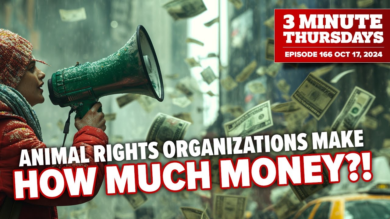 Animal Rights Organizations Make HOW MUCH Money?!