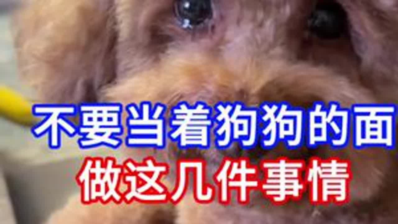 千万不要当着狗狗的面做这几件事 #狗狗 #狗狗的日常 #养狗经验分享 #新手养狗 #养狗人