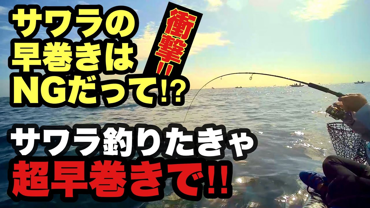 【sup釣り】サワラは早巻では釣れないらしい！じゃあ、どう釣る！？