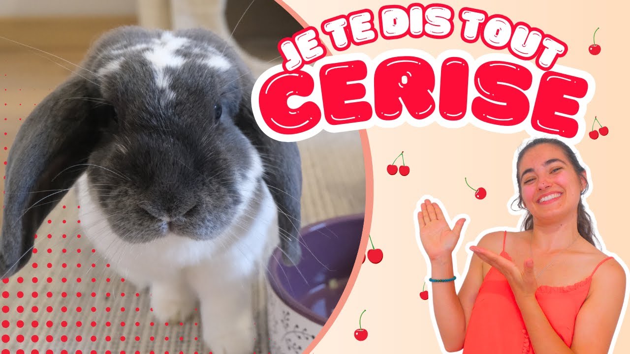 Présentation CERISE 🍒 - Vlog