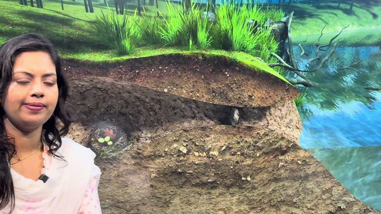  স্তন্যপায়ী শ্রেণি শিখি আনন্দে (অষ্টম শ্রেণি )