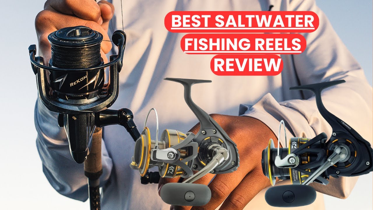 🎣Best Spinning Reels 2025 | Ultimate Fishing Reel Review & Buyer&rsquo;s Guide