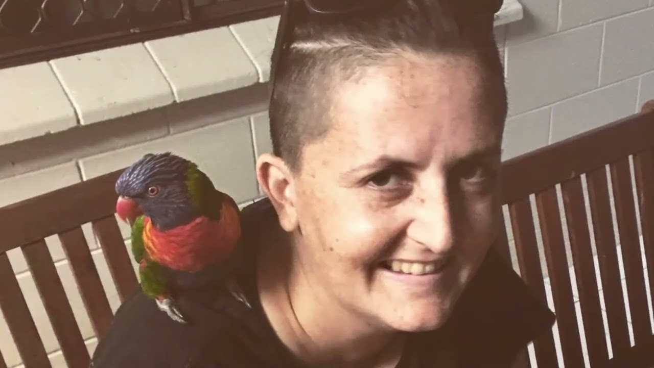 NSW VAD Inquiry: families speak