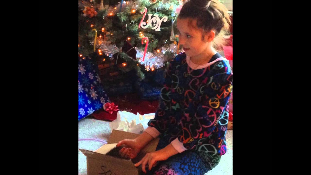2013 Christmas Ragdoll Kitty suprise pranks