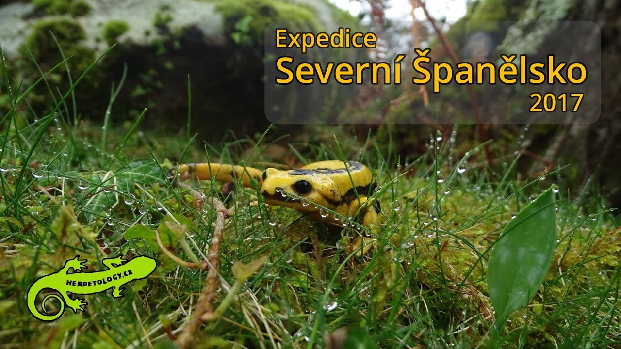Expedice: Severní Španělsko 2017 (CZ)