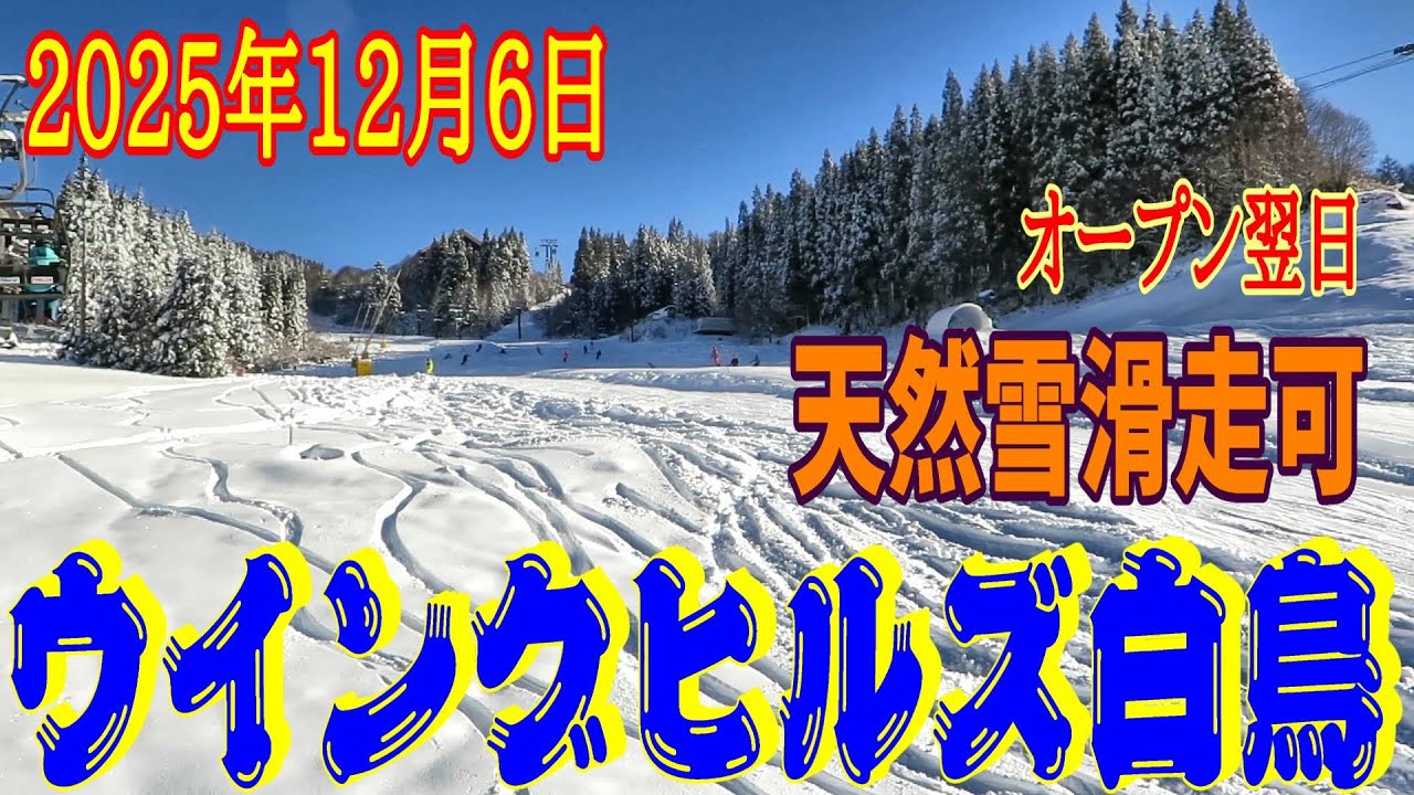 【ウイングヒルズ白鳥】天然雪滑走可(2025年12月6日)