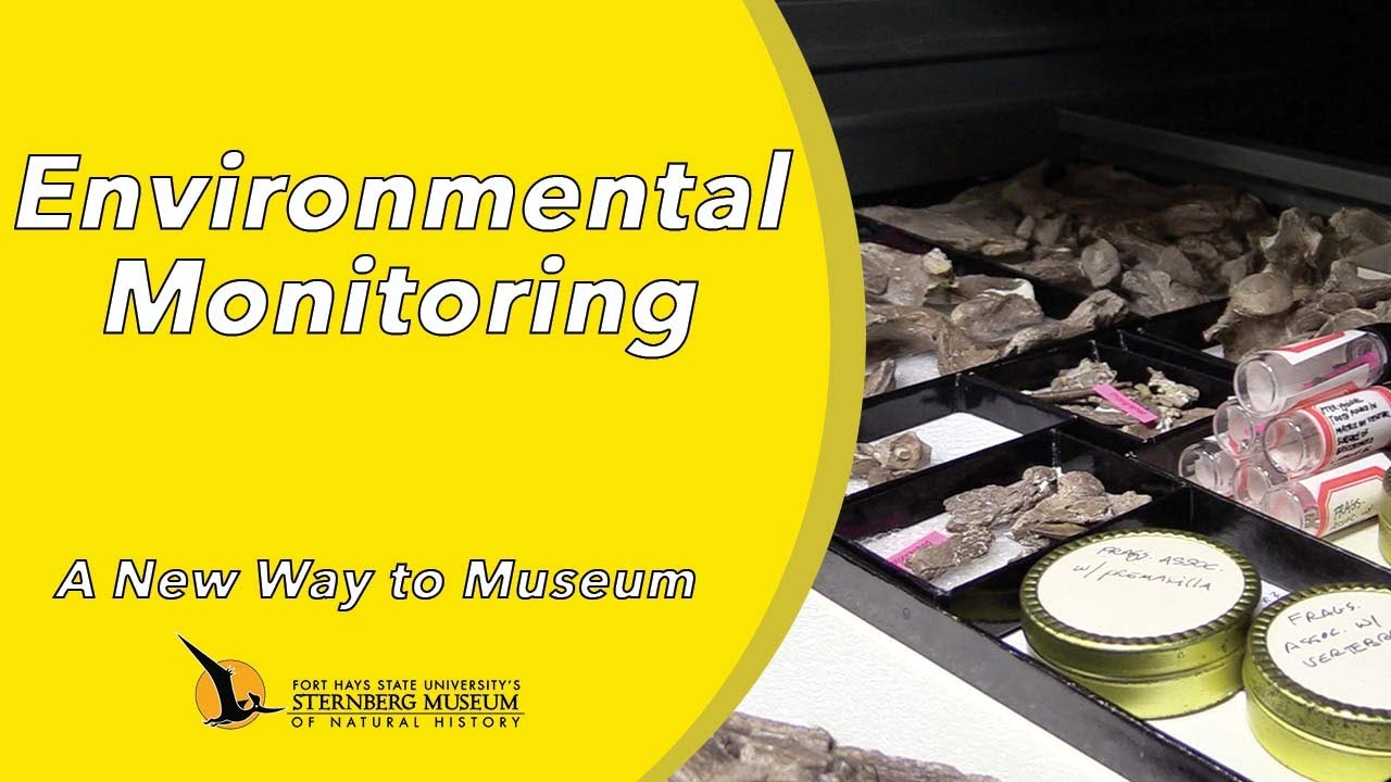 Environmental Monitoring | A New Way to Museum