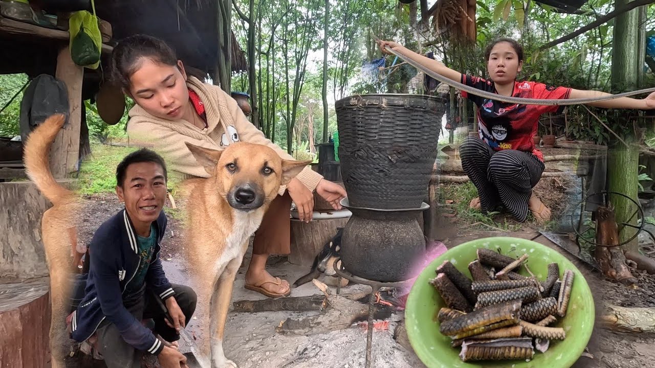 ອ່ອມງູສິງ//อ่อมงูสิง 1 ตุลาคม ค.ศ. 2024