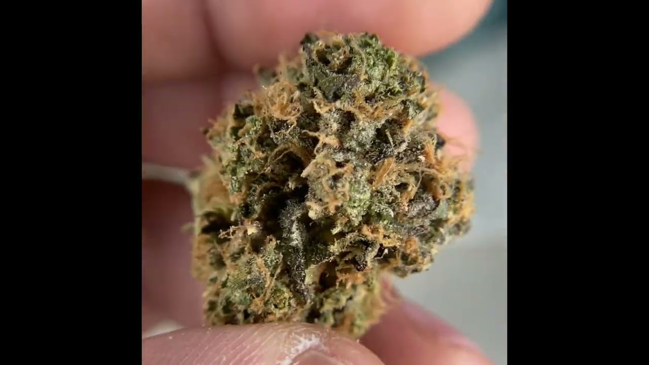 Michigrown Zkittlez Flower Review
