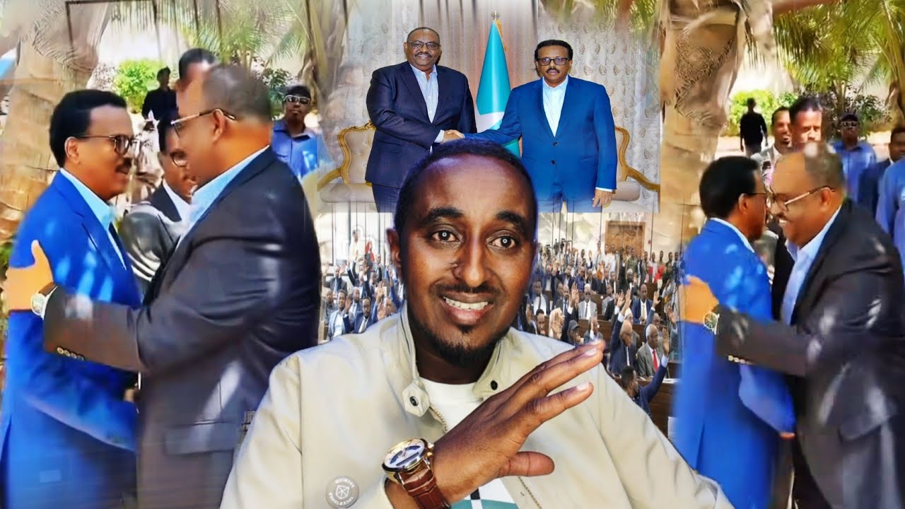 Dawo heshiiska farmajo iyo saciid dani calaacal oohin dani waan ku khiyaamay icafi..