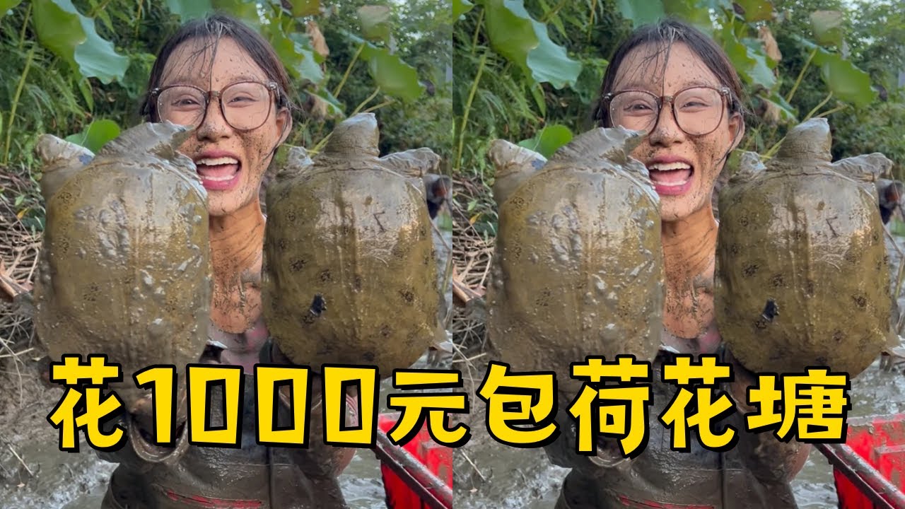 小姨子花1000元包下荷花塘，没想到里面货这么多？