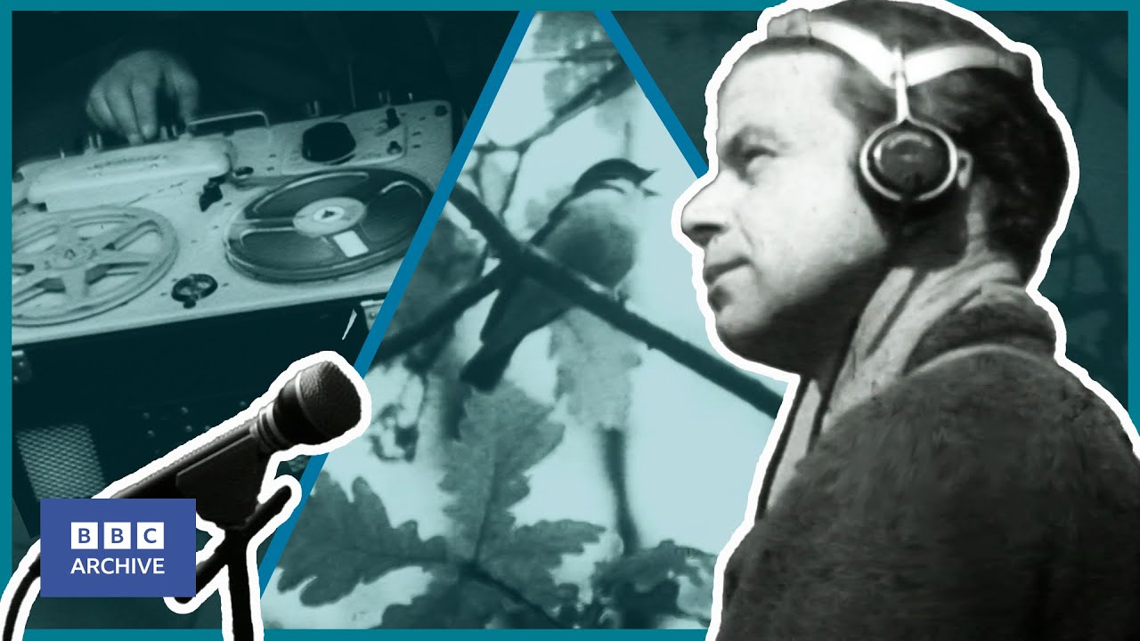 1968: FARMER becomes WILDLIFE AUDIO MAESTRO | The Lone Listener | Science & Nature | BBC Archive