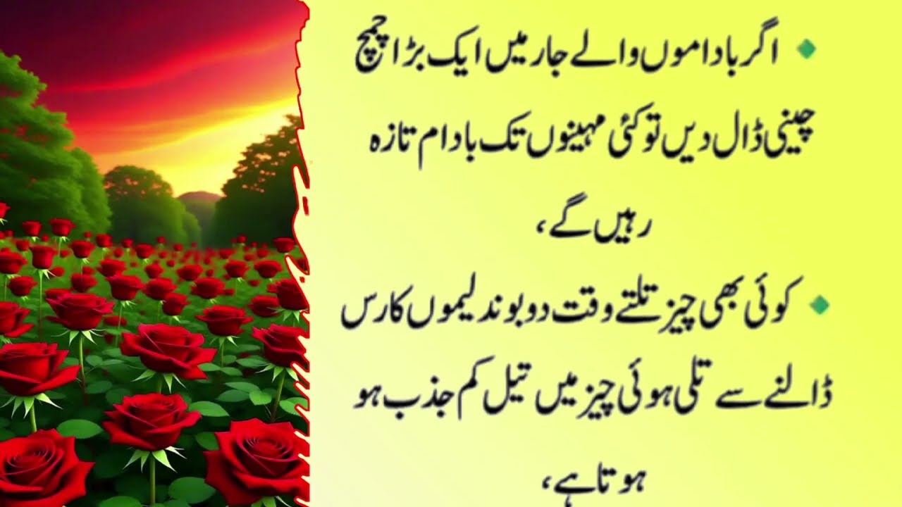 Quotes About life | Motivational Islamic Quotes | Golden Words | Rumi Quotes | Hazrat Ali Quotes