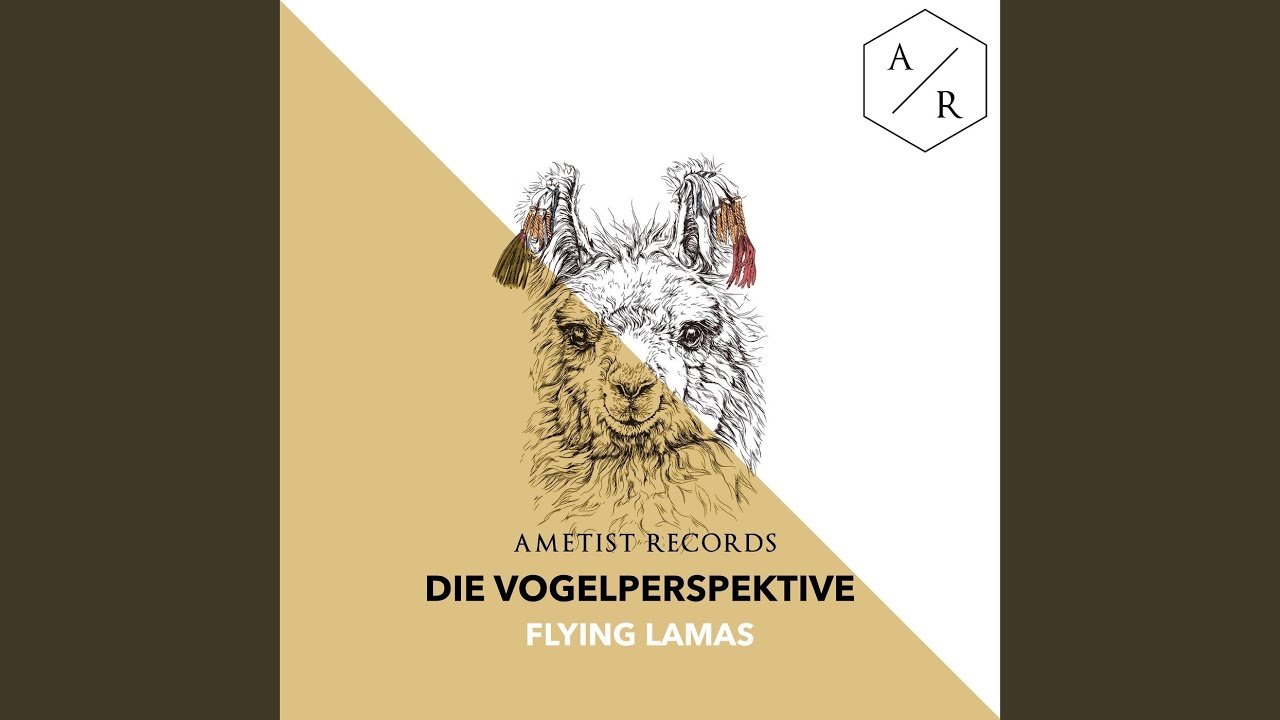 Flying Lamas